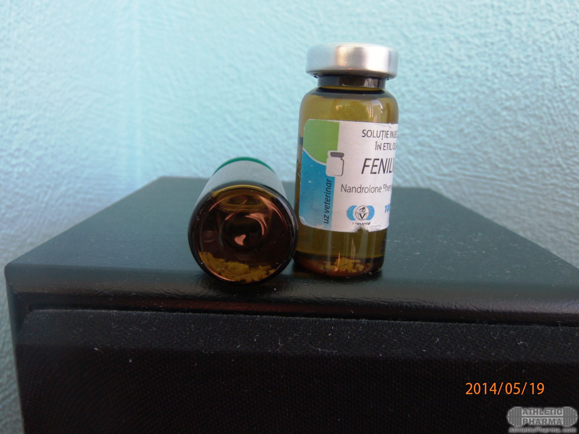gallery_1677_2_132362.jpg